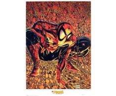 Empire 11732 Spiderman - Web - Film Film Movie Poster Poster - 61 x 91.5 cm