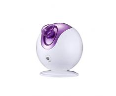 Local Makes A Comeback - Nebulizzatore a sfera, nebulizzatore per la casa, nebulizzatore termico, integratore di nanoioni