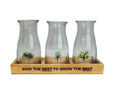 Half Moon Bay Il Giardiniere Allotment Set di Bottiglie in Un Vassoio