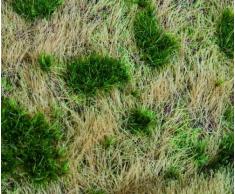 Faller 180474 - Modellismo Ferroviario, Tappeto erboso per argine ferrovia