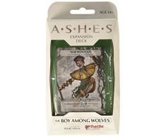 Cappello Plaid Games PHG1210 The Boy Among Wolves: Ceneri, Multicolore