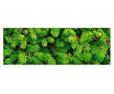 Ursus-10 Fogli di Carta Fotografica con Rami di Abete, Multicolore, 300 g/QM, 49,5 x 68 cm, 12722263