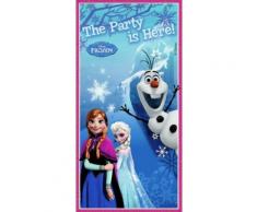 Decorazione per porta di Frozen-Il Regno di Ghiaccio