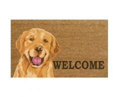 Zerbino : Welcome Labrador